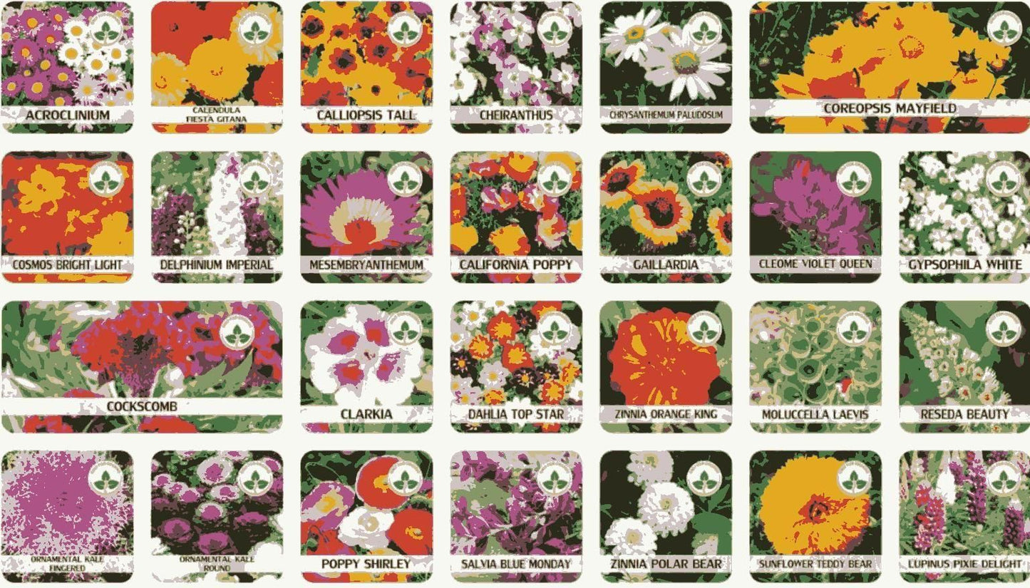 Exotic Flower Seeds (Pack of 100) + Free Plant Growth Supplement